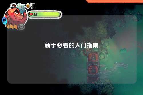 新手必看的入门指南