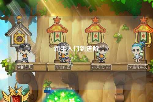 新手入门到进阶