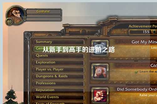 从新手到高手的进阶之路