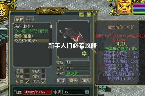 新手入门必看攻略