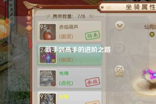 新手到高手的进阶之路