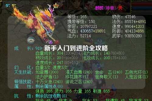 新手入门到进阶全攻略