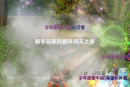新手玩家的趣味闯关之旅